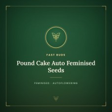 Pound Cake Auto Feminised Seeds Pound Cake Auto Feminised Seeds