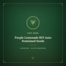 Purple Lemonade RF3 Auto Feminised Seeds Purple Lemonade RF3 Auto Feminised Seeds