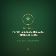 Purple Lemonade RF3 Auto Feminised Seeds Purple Lemonade RF3 Auto Feminised Seeds