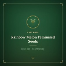 Rainbow Melon Feminised Seeds Rainbow Melon Feminised Seeds