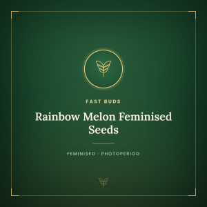 Rainbow Melon Feminised Seeds Rainbow Melon Feminised Seeds