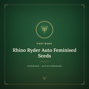 Rhino Ryder Auto Feminised Seeds