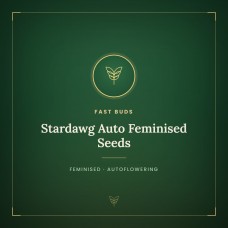 Stardawg Auto Feminised Seeds Stardawg Auto Feminised Seeds