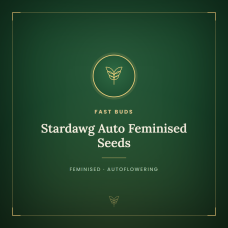 Stardawg Auto Feminised Seeds Stardawg Auto Feminised Seeds