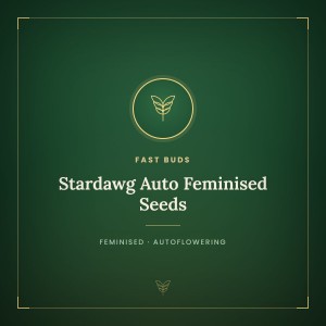 Stardawg Auto Feminised Seeds Stardawg Auto Feminised Seeds