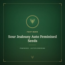 Sour Jealousy Auto Feminised Seeds Sour Jealousy Auto Feminised Seeds