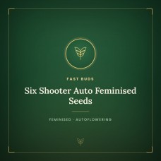 Six Shooter Auto Feminised Seeds Six Shooter Auto Feminised Seeds