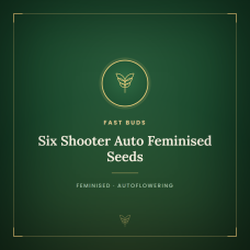Six Shooter Auto Feminised Seeds Six Shooter Auto Feminised Seeds