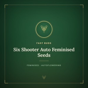 Six Shooter Auto Feminised Seeds