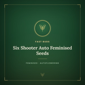 Six Shooter Auto Feminised Seeds
