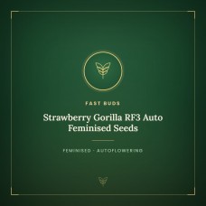 Strawberry Gorilla RF3 Auto Feminised Seeds Strawberry Gorilla RF3 Auto Feminised Seeds