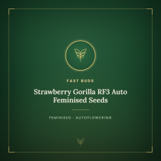 Strawberry Gorilla RF3 Auto Feminised Seeds Strawberry Gorilla RF3 Auto Feminised Seeds