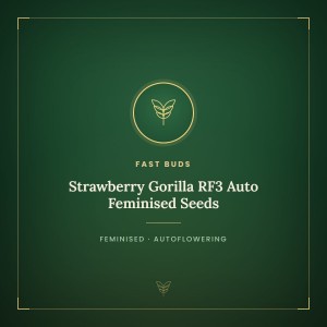 Strawberry Gorilla RF3 Auto Feminised Seeds