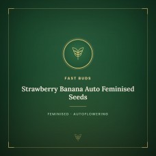 Strawberry Banana Auto Feminised Seeds Strawberry Banana Auto Feminised Seeds