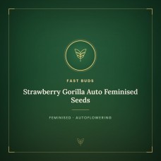 Strawberry Gorilla Auto Feminised Seeds Strawberry Gorilla Auto Feminised Seeds