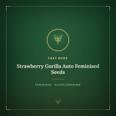 Strawberry Gorilla Auto Feminised Seeds Strawberry Gorilla Auto Feminised Seeds