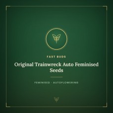Original Trainwreck Auto Feminised Seeds Original Trainwreck Auto Feminised Seeds