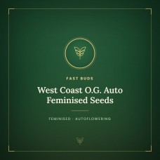 West Coast O.G. Auto Feminised Seeds West Coast O.G. Auto Feminised Seeds