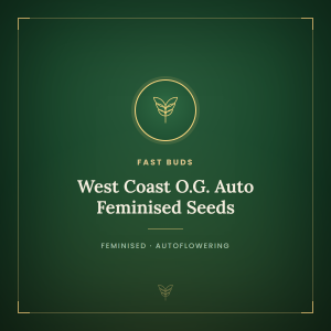 West Coast O.G. Auto Feminised Seeds West Coast O.G. Auto Feminised Seeds