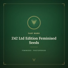 Z42 Ltd Edition Feminised Seeds Z42 Ltd Edition Feminised Seeds