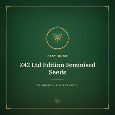Z42 Ltd Edition Feminised Seeds Z42 Ltd Edition Feminised Seeds