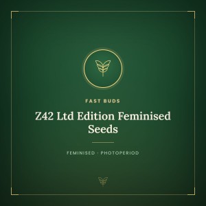 Z42 Ltd Edition Feminised Seeds