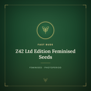 Z42 Ltd Edition Feminised Seeds Z42 Ltd Edition Feminised Seeds