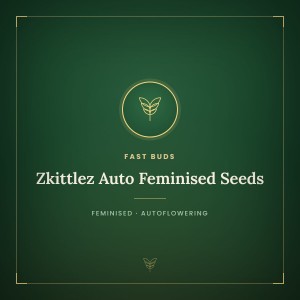 Zkittlez Auto Feminised Seeds