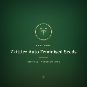 Zkittlez Auto Feminised Seeds Zkittlez Auto Feminised Seeds