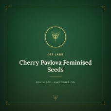 Cherry Pavlova Feminised Seeds Cherry Pavlova Feminised Seeds