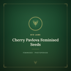 Cherry Pavlova Feminised Seeds Cherry Pavlova Feminised Seeds