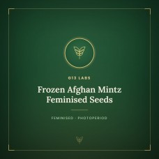 Frozen Afghan Mintz Feminised Seeds Frozen Afghan Mintz Feminised Seeds