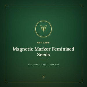 Magnetic Marker Feminised Seeds