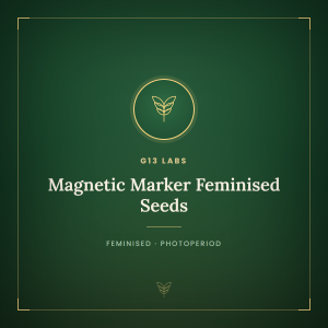 Magnetic Marker Feminised Seeds Magnetic Marker Feminised Seeds