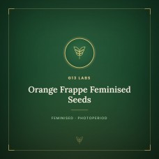 Orange Frappe Feminised Seeds