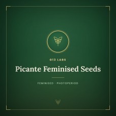 Picante Feminised Seeds