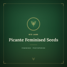 Picante Feminised Seeds Picante Feminised Seeds