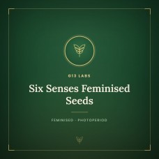 Six Senses Feminised Seeds Six Senses Feminised Seeds
