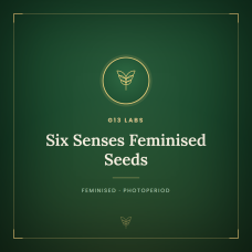 Six Senses Feminised Seeds Six Senses Feminised Seeds