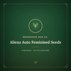 Alienz Auto Feminised Seeds Alienz Auto Feminised Seeds