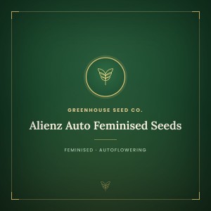 Alienz Auto Feminised Seeds