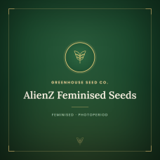 AlienZ Feminised Seeds AlienZ Feminised Seeds