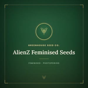 AlienZ Feminised Seeds AlienZ Feminised Seeds