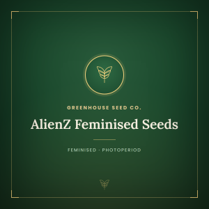 AlienZ Feminised Seeds AlienZ Feminised Seeds