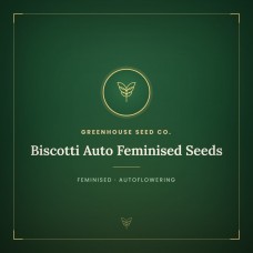 Biscotti Auto Feminised Seeds Biscotti Auto Feminised Seeds