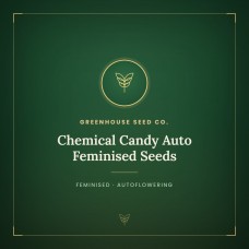 Chemical Candy Auto Feminised Seeds Chemical Candy Auto Feminised Seeds