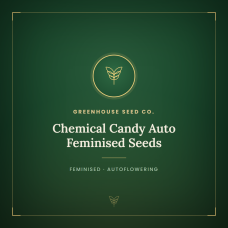 Chemical Candy Auto Feminised Seeds Chemical Candy Auto Feminised Seeds