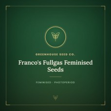 Franco's Fullgas Feminised Seeds Franco's Fullgas Feminised Seeds