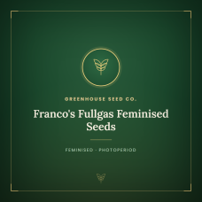 Franco's Fullgas Feminised Seeds