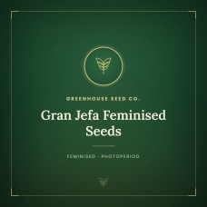 Gran Jefa Feminised Seeds Gran Jefa Feminised Seeds